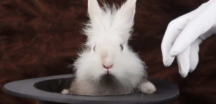 rabbit in a top hat